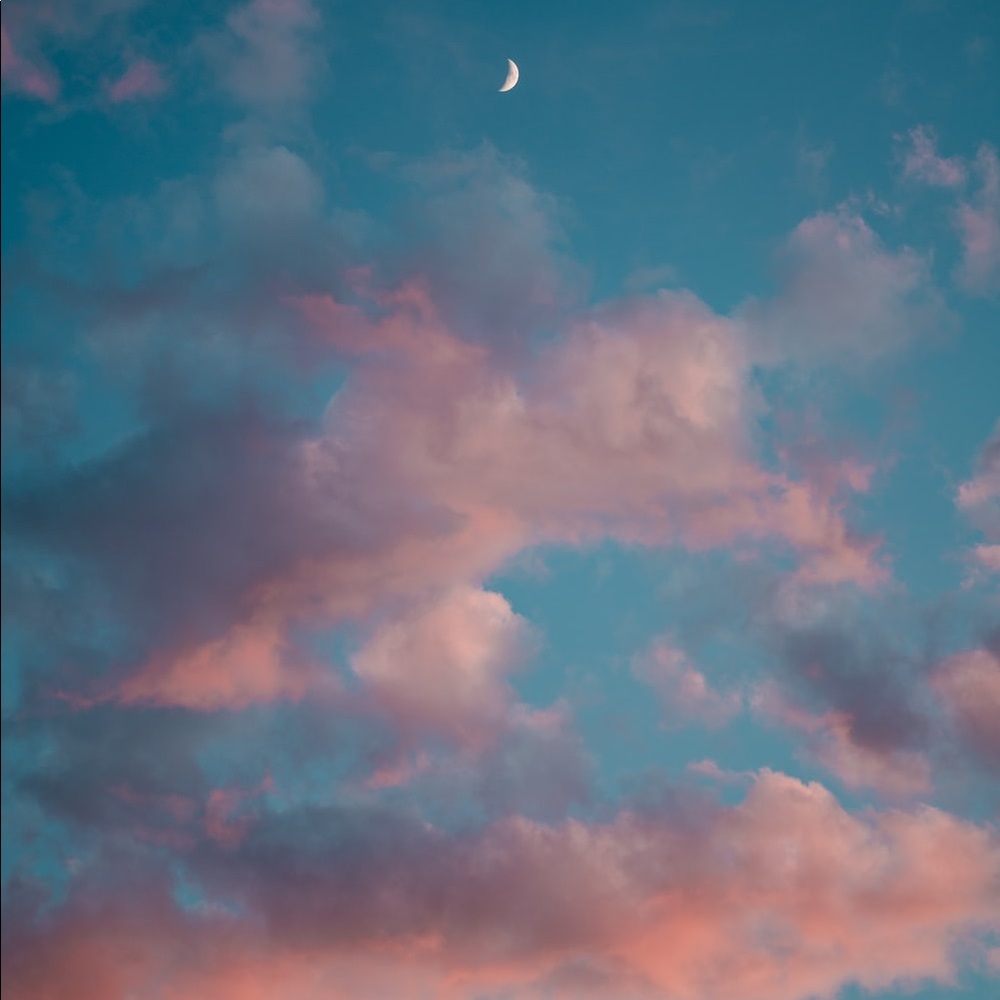 Meet your Posher, Camryn